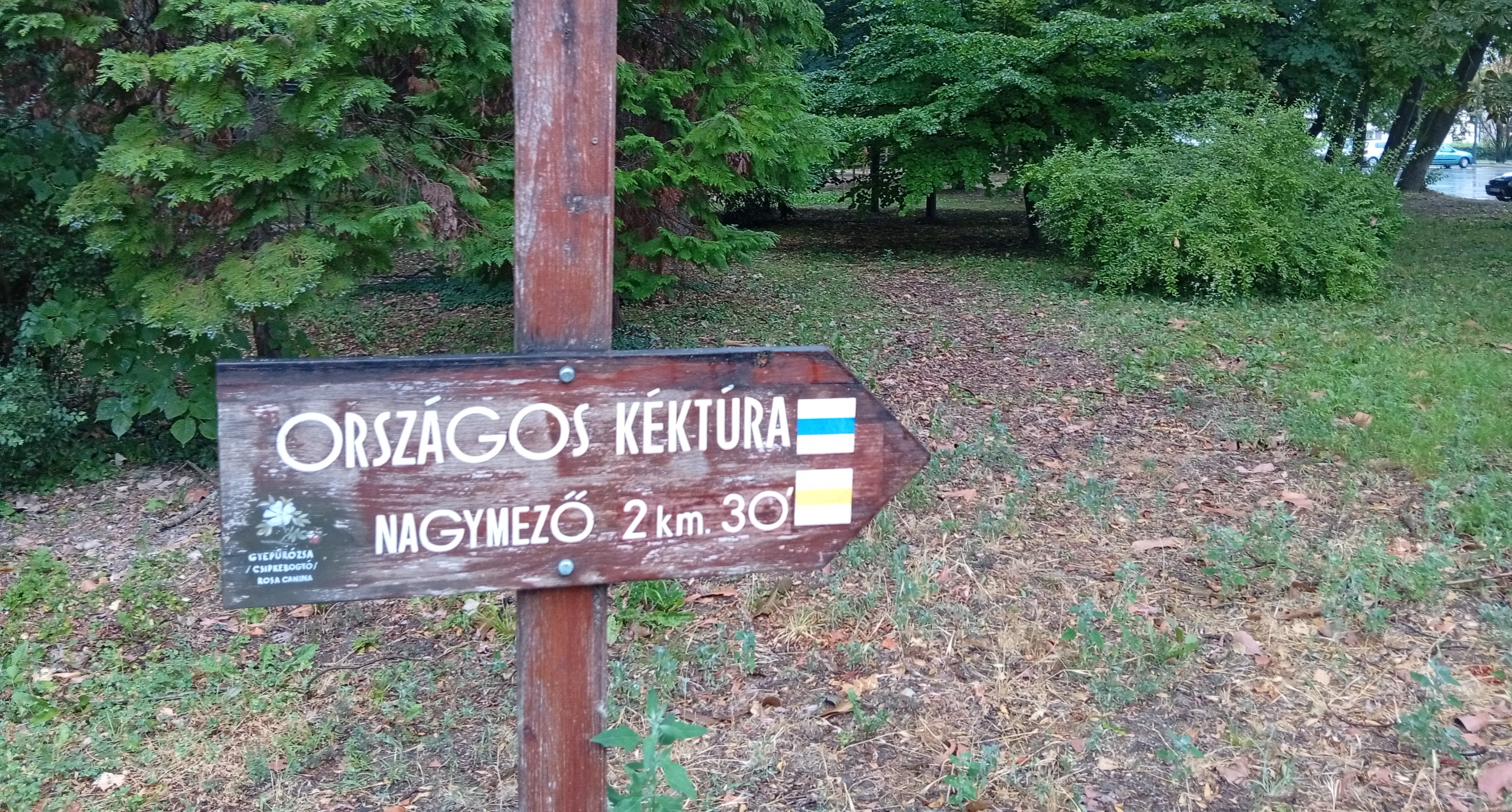 Országos Kéktúra (OKT)