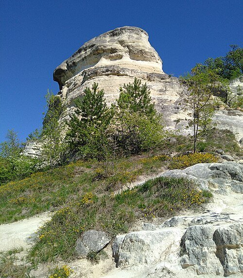 Nyakas Kör